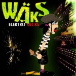 043-waks_-elektro_sucks