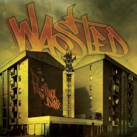 flying disk - wasted