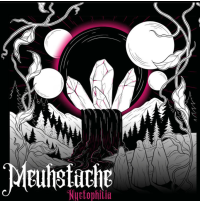 opera_instantane_2026-01-20_115930_meuhstache_bandcamp_com