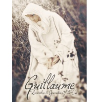 145-desireless - operation of the sun  guillaume